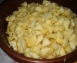 Desert prajitura cu mere, biscuiti si budinca (fara coacere)-2
