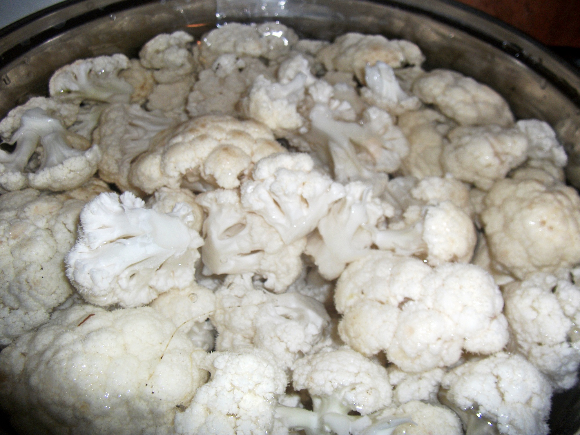 Conopida pane