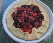 Placinta rustica cu piersici si afine-5