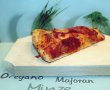 PIZZA SALAMI-8