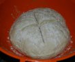Paine de casa-2