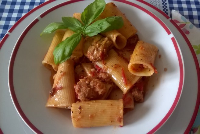 Paste cu resturi de friptura