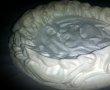 Pavlova cu fructe de padure-5