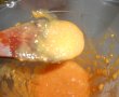 Supa crema de rosii cherry galbene-6
