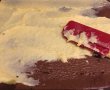 Rulada elvetiana de ciocolata cu crema de lamaie si fulgi de cocos-9