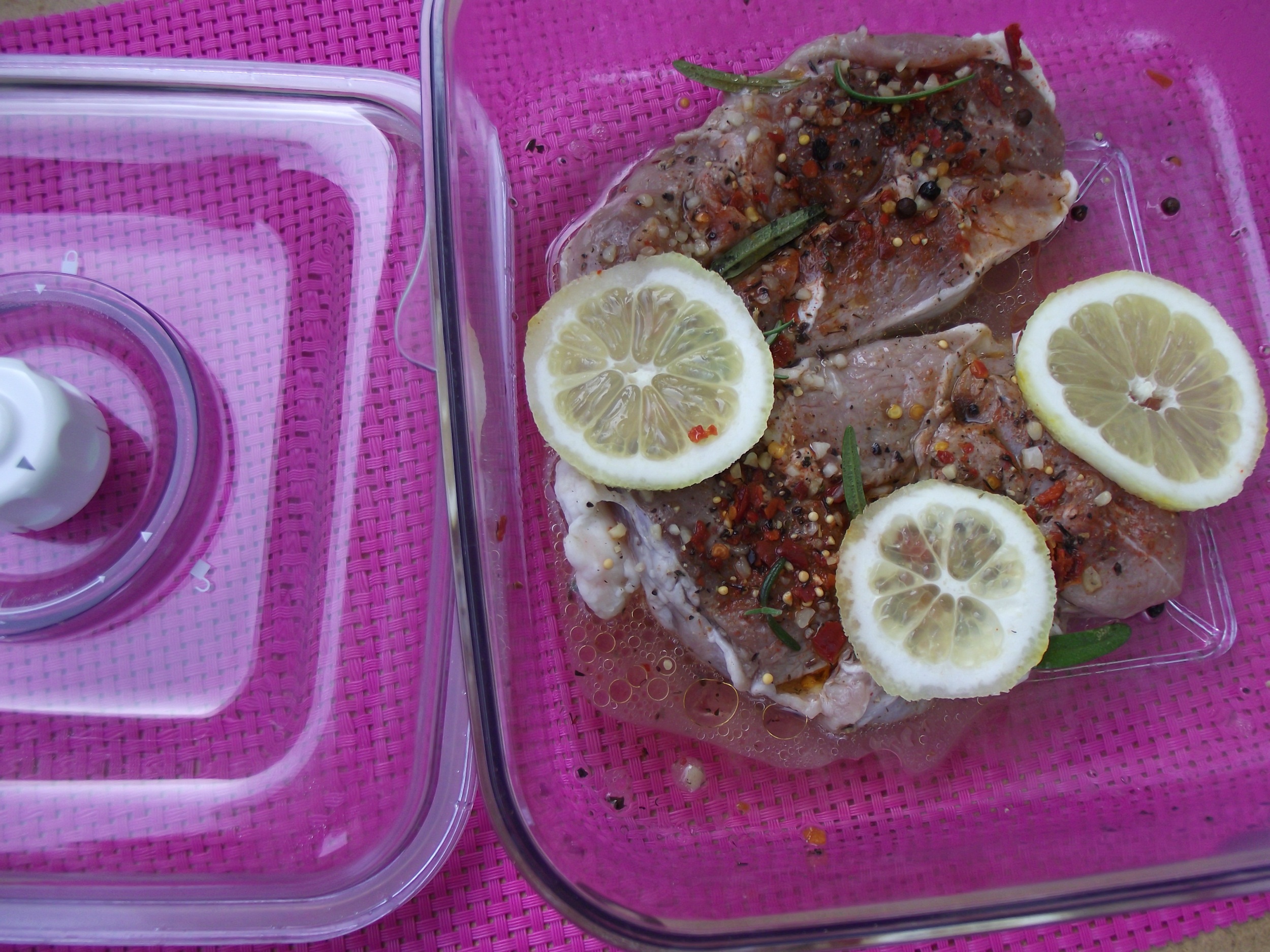 Pulpa de miel la gratar pregatita cu aparatul de marinat FoodSaver