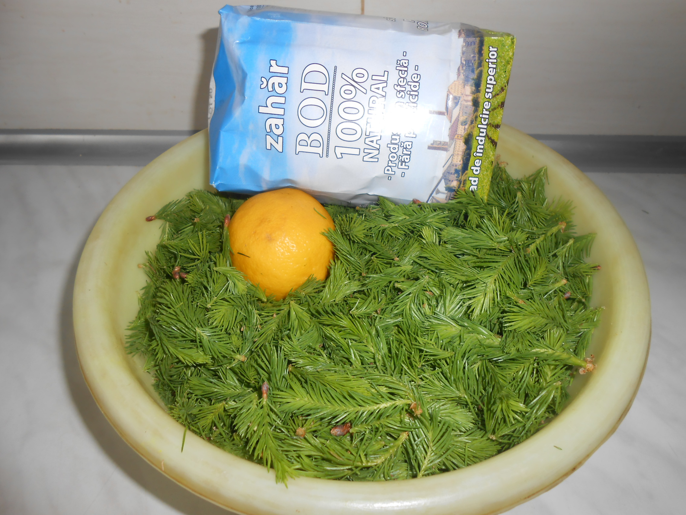 Sirop din muguri de brad