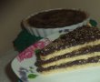 Tarta cu crema de ciocolata si seminte de canepa-10