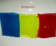Steagul ROMANIEI din jeleu-7
