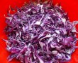 Salata de varza-1