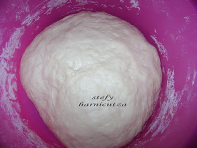 Paine de casa cu lapte (impletita)