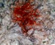 Pasta de hering afumat-3