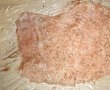 Muschi de porc umplut cu ciuperci si invelit in bacon-9