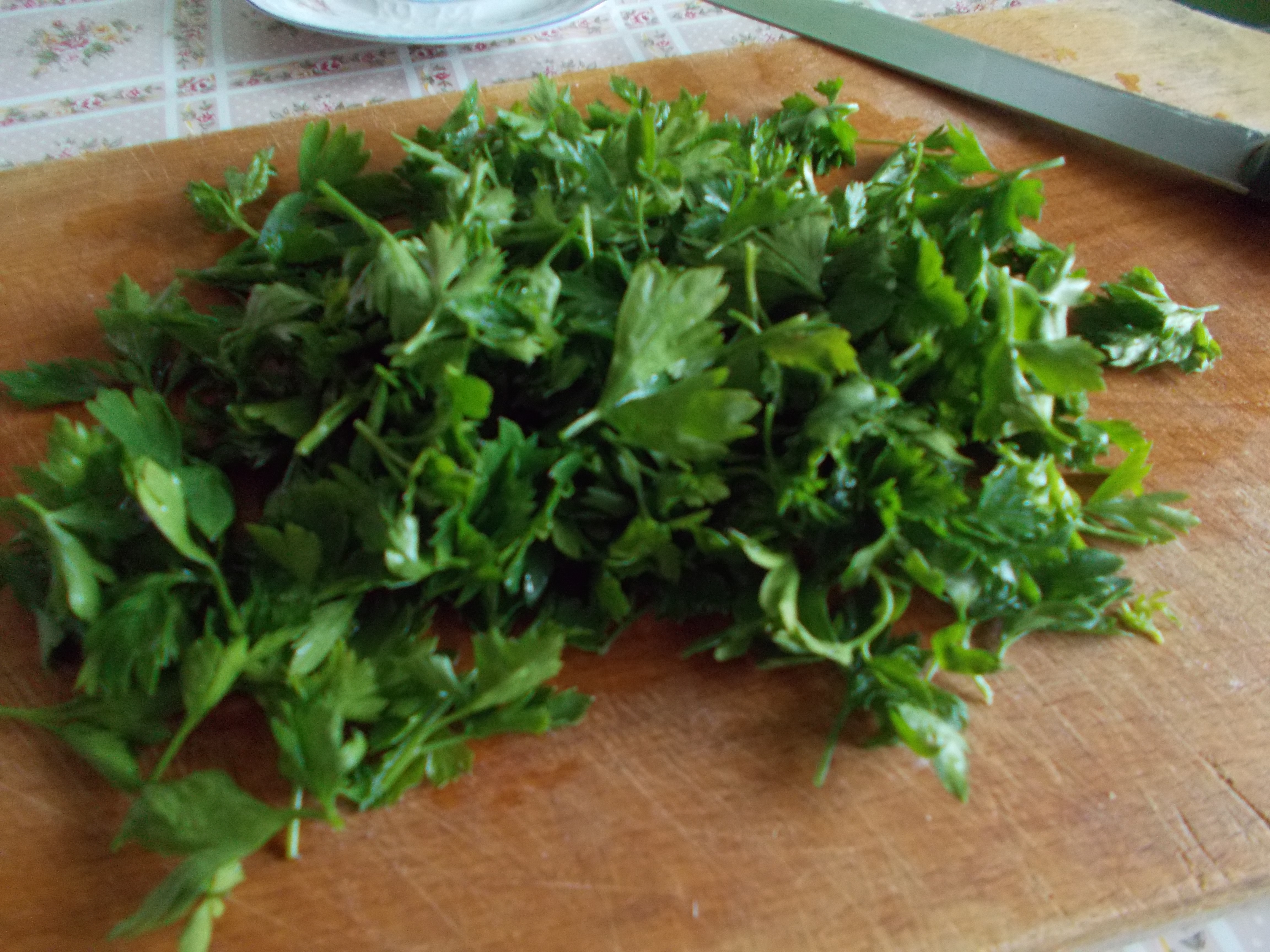 Ciorba de primavara, din legume
