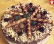Desert tort Alex-2