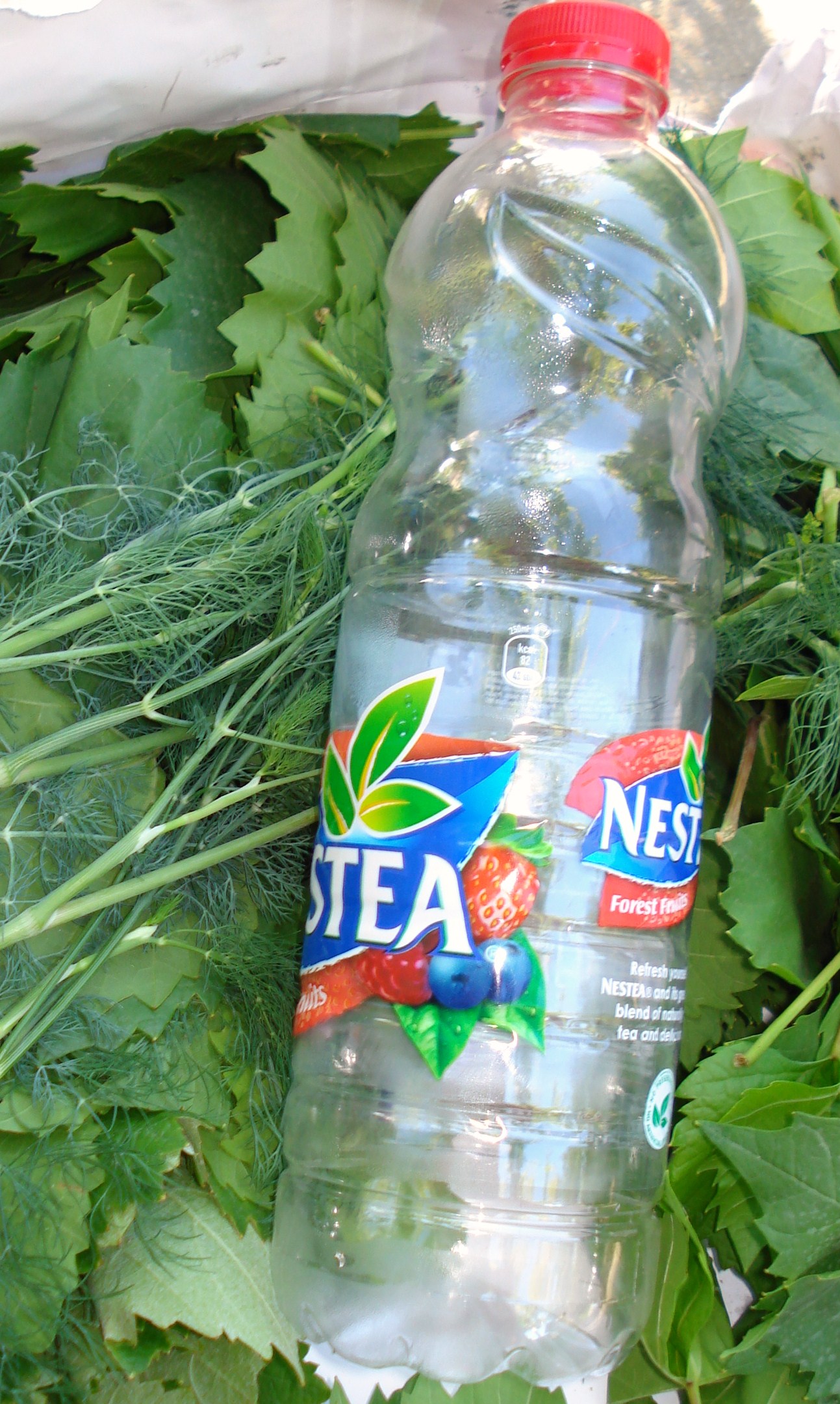 Vita de vie conservata