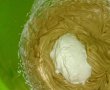Desert inghetata cu mascarpone si cafea-5