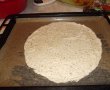 Desert tort Dana-3