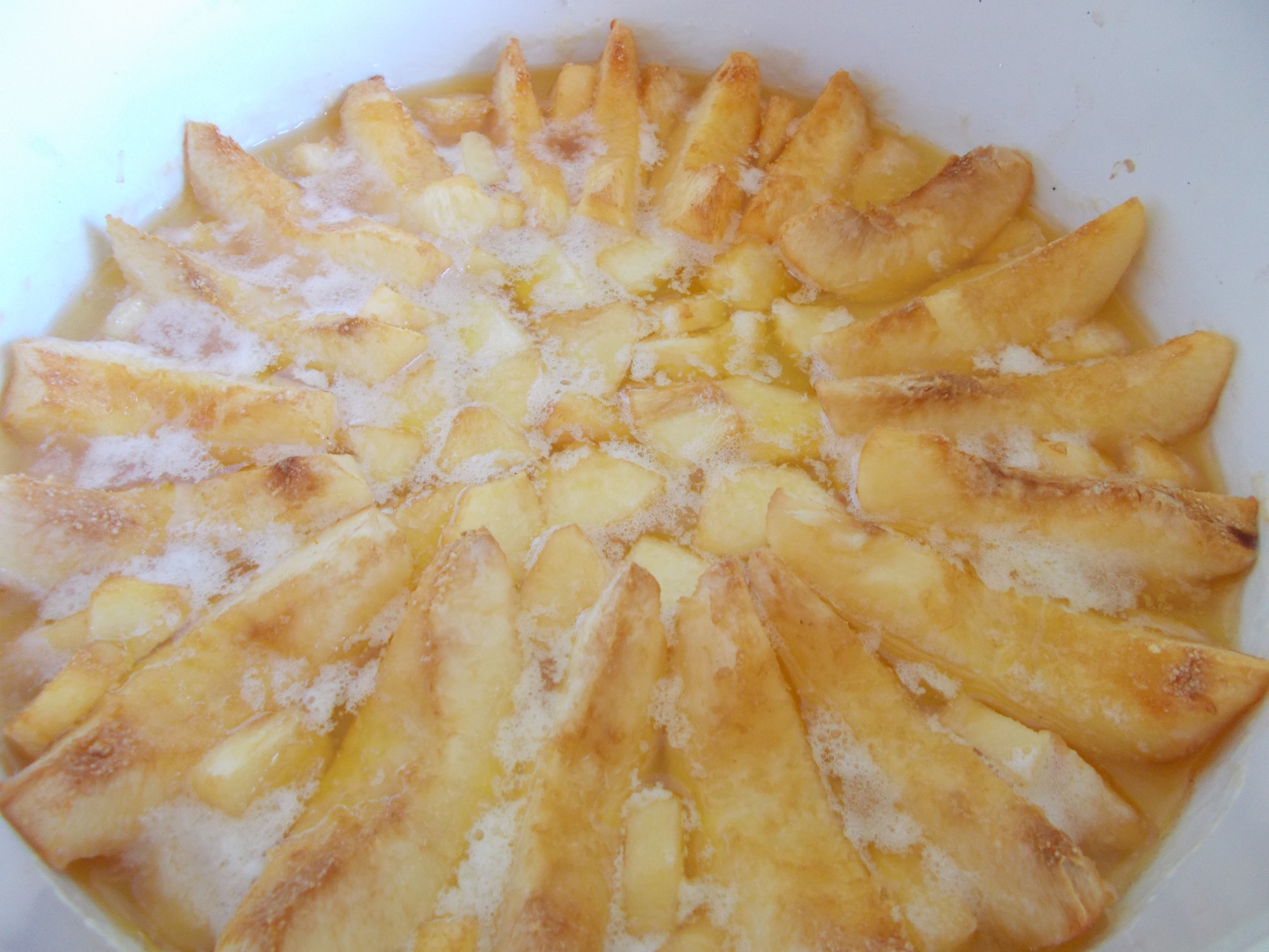 Desert tort de gutui