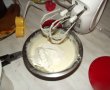 Desert tort Alin-14