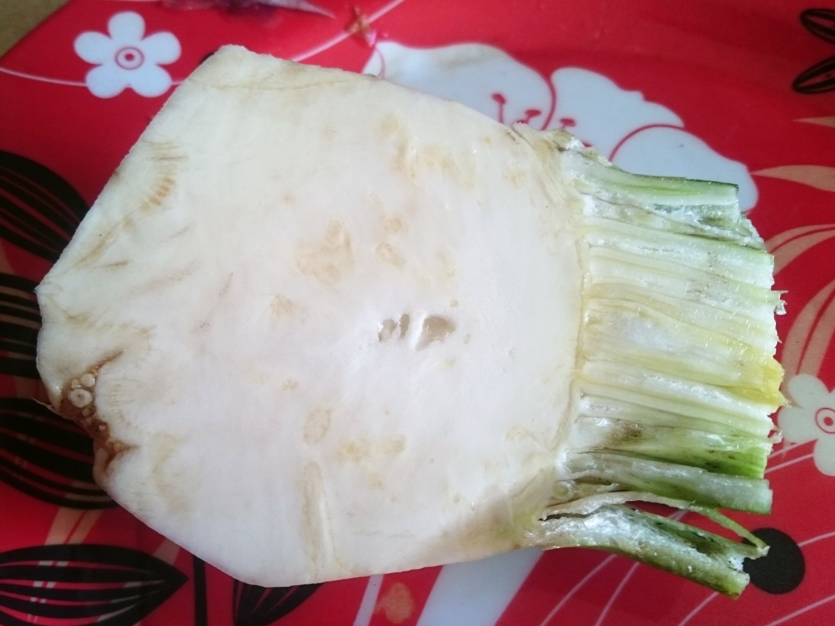 Ciorba de vitel cu broccoli si smantana