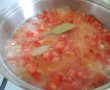 Ostropel de pui, cu mamaliguta-6