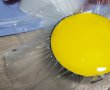 Desert tort Fanta-10