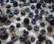Foccacia cu masline si oregano-6