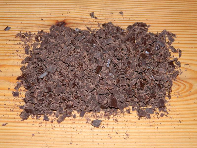 Desert tort musuroi de cartita