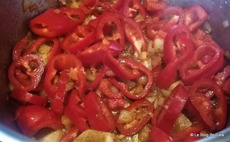 Tocanita de pui cu paprika/ Papricas de pui