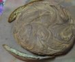 Tort Mamaruta-3