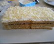 Aperitiv tort Mozzarella-6