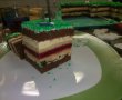 Desert tort teren de fotbal-25