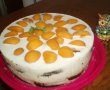 Tort-sarlota de iaurt cu caise-2