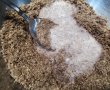 Desert nuci umplute cu crema de ciocolata si nuci macinate-12