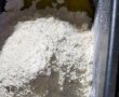 Painici cu seminte de floarea soarelui-1