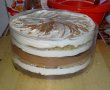 Reteta de tort cu doua blaturi-27