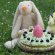 Tort cu crema de fistic