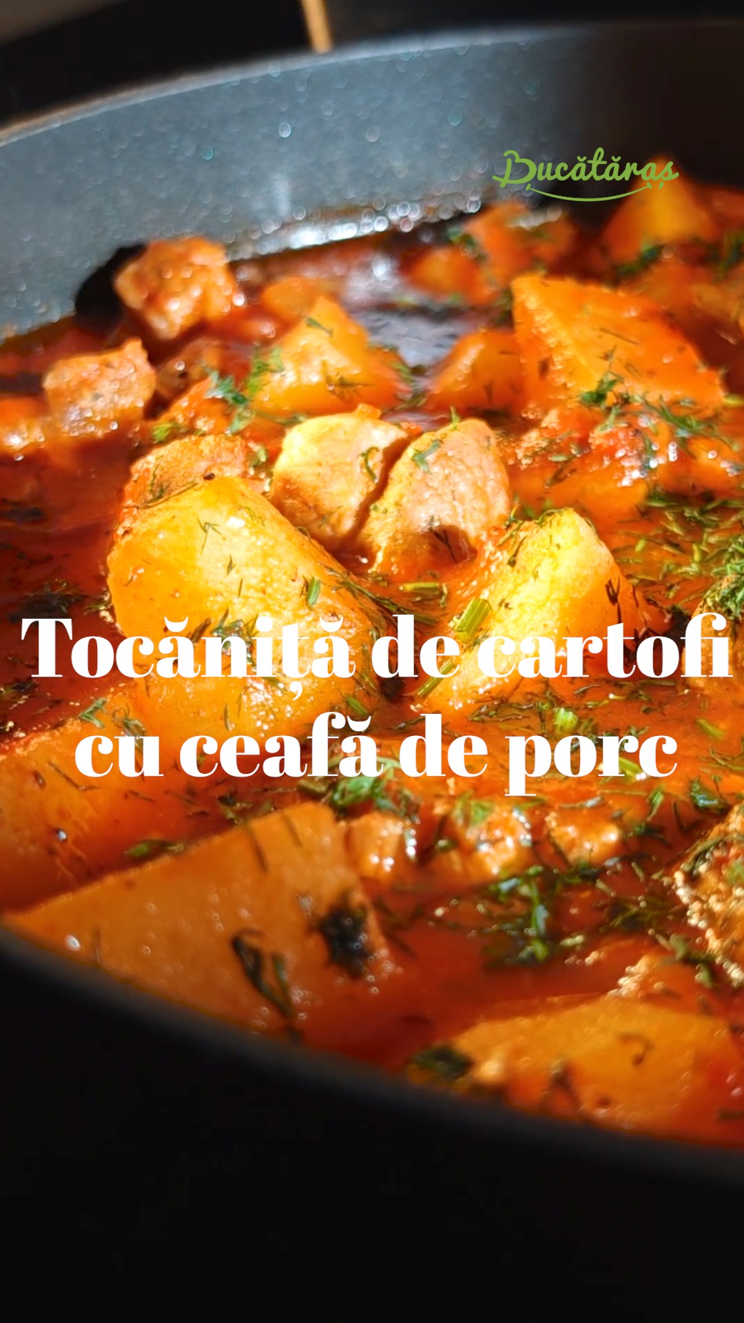 Tocăniță cu carne de porc - Gust și savoare într-o rețetă simplă